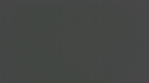 desiboi9 online show from 10, 10, 2025