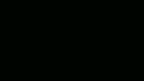 desmoi online show from 13, 4, 2026