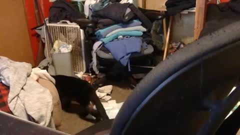 Snapshot of desolation2012 chatting on 27, 3, 2026 desolation2012 online show from 27, 3, 2026