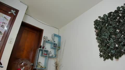 Snapshot of destinyhills_ chatting on 1, 4, 2026 Destiny online show from 1, 4, 2026