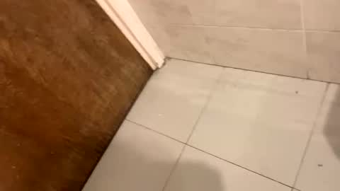 Snapshot of destrosandotelculo chatting on 9, 11, 2025 destrosandotelculo online show from 9, 11, 2025