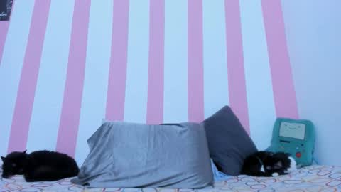 Snapshot of devilangel_29 chatting on 17, 3, 2026 Johana online show from 17, 3, 2026