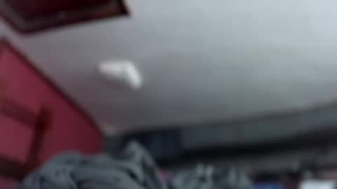 DevilsDopeDick online show from 22, 4, 2026