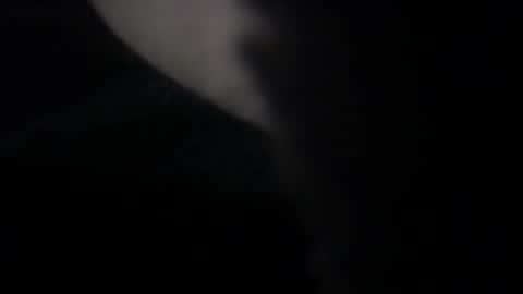 dfwgent3035 online show from 28, 7, 2026