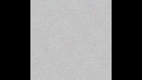 dogbrutus online show from 22, 12, 2025