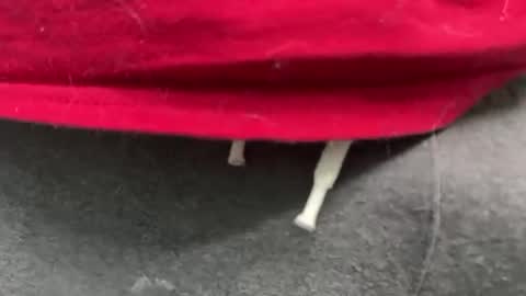 diag033014 online show from 11, 2, 2026