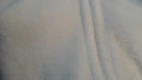 diana online show from 11, 12, 2024