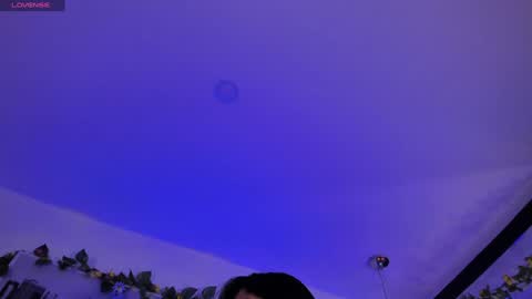 dianekitty online show from 23, 12, 2024