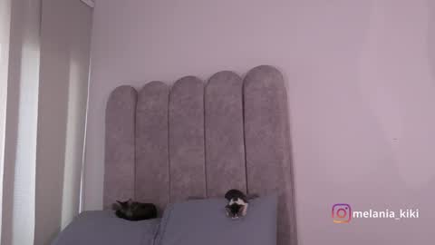 Snapshot of dianne_nanatzu chatting on 20, 12, 2024 Melania   -    online show from 20, 12, 2024