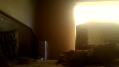 Snapshot of dickdaxxx chatting on 2, 3, 2025 dickdaxxx online show from 2, 3, 2025