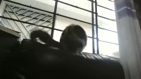 Snapshot of dickeduardo chatting on 29, 3, 2026 dickeduardo online show from 29, 3, 2026