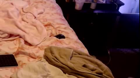 Sparkx online show from 1, 3, 2026