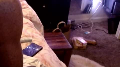 Snapshot of dickgiggler chatting on 3, 5, 2026 Sparkx online show from 3, 5, 2026