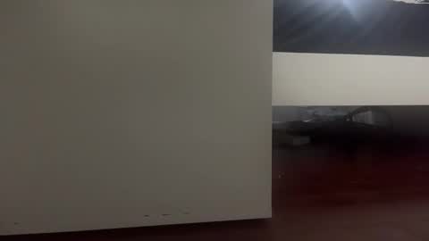 dickmanthe1 online show from 13, 1, 2026