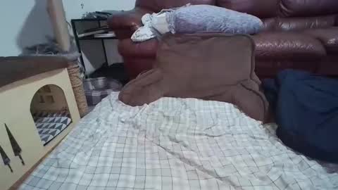 dickslayerdan online show from 22, 11, 2025