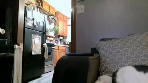 dickwack4u online show from 4, 1, 2025