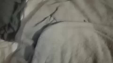 Snapshot of dig_bick_38 chatting on 10, 10, 2025 Daddy online show from 10, 10, 2025