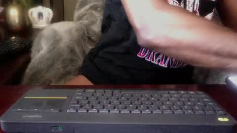 The Digital Pimp.... online show from 27, 6, 2026
