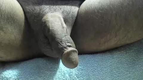 DIKPIN online show from 28, 12, 2024