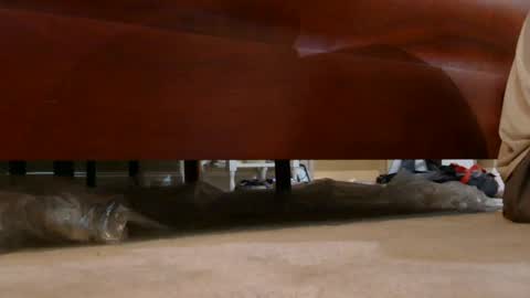 dildosnme22 online show from 3, 8, 2026