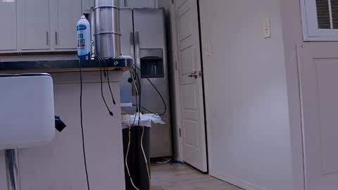 Snapshot of dilldough405 chatting on 29, 1, 2025 Dilldough405 online show from 29, 1, 2025