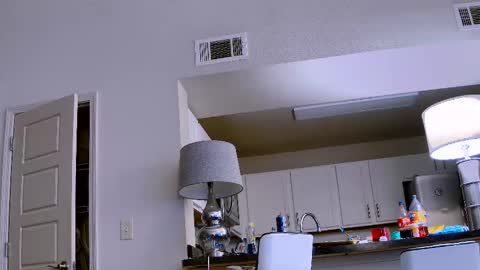 Snapshot of dilldough405 chatting on 11, 2, 2025 Dilldough405 online show from 11, 2, 2025