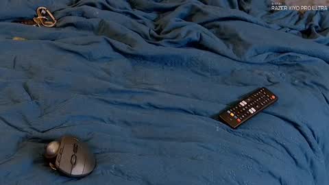 Snapshot of dilldough405 chatting on 9, 9, 2025 Dilldough405 online show from 9, 9, 2025