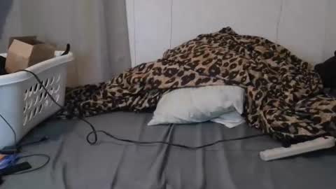 Sofie online show from 16, 1, 2026