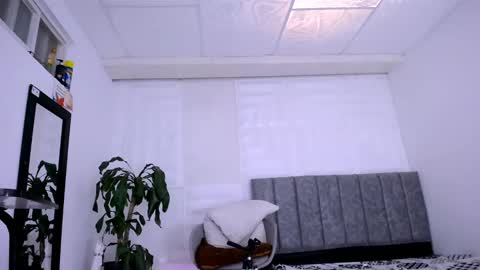 DINA online show from 21, 12, 2024