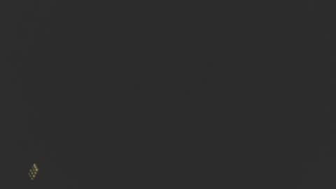 Snapshot of dinchtcams chatting on 24, 2, 2025 Dincht online show from 24, 2, 2025