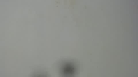 Quin online show from 15, 2, 2026