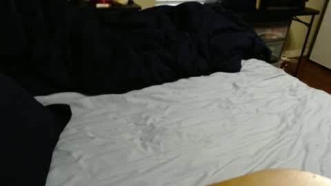 dino695802 online show from 11, 9, 2025