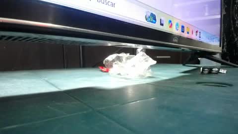 Snapshot of dinotra chatting on 24, 3, 2026 ANDREA online show from 24, 3, 2026