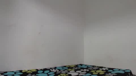 Dio online show from 15, 1, 2026