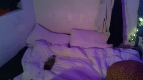 Snapshot of dipptripper chatting on 16, 4, 2026 Thomas OMalley online show from 16, 4, 2026