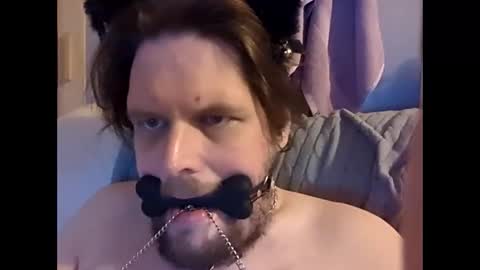 Snapshot of dirtydogsday chatting on 27, 2, 2026 Dirtydog online show from 27, 2, 2026