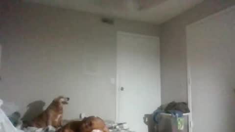 dirtyxxxdoll online show from 22, 12, 2025