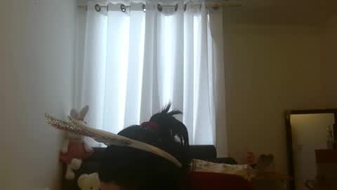 Snapshot of disneey2888 chatting on 12, 11, 2025 disneey2888 online show from 12, 11, 2025