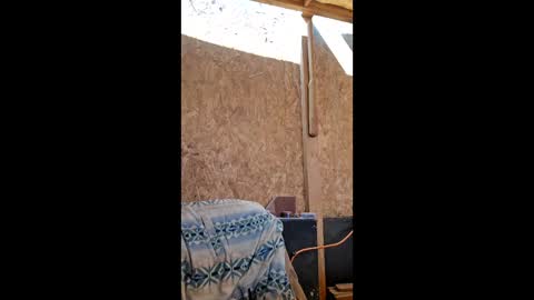 dispuestoatod online show from 19, 12, 2025