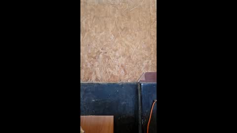 dispuestoatod online show from 20, 12, 2025