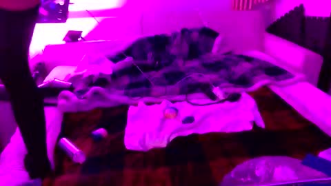 Snapshot of dizzy_dreamer chatting on 22, 12, 2025 Izzy Knyx online show from 22, 12, 2025