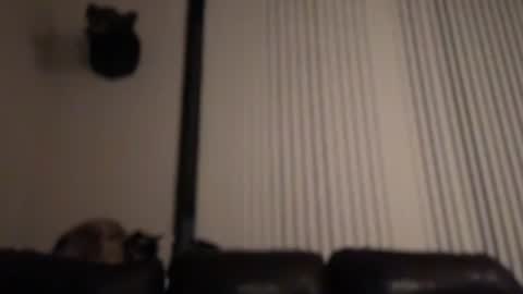 Snapshot of dj_chaterbate chatting on 4, 2, 2026 DJ Chaterbate online show from 4, 2, 2026