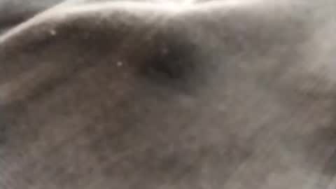 dlov3 online show from 8, 2, 2026