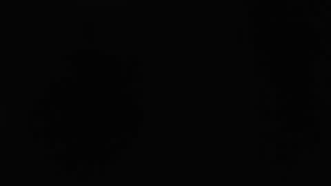 dlt22 online show from 12, 4, 2026