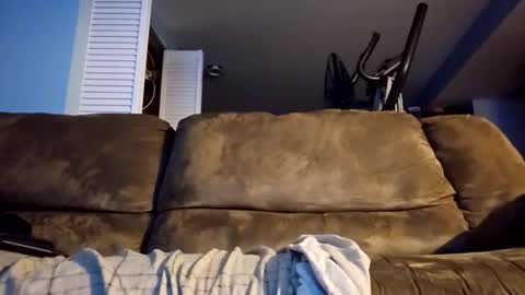 dogbone999081 online show from 17, 12, 2025