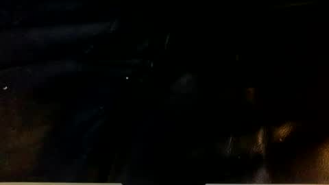 Snapshot of dogstarmanitee chatting on 24, 12, 2024 dogstarmanitee online show from 24, 12, 2024