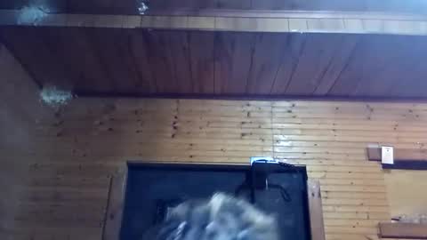 dollface_89 online show from 29, 9, 2025