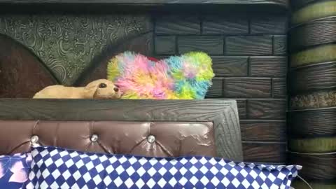 Snapshot of dollmeenu chatting on 21, 11, 2025 dollmeenu online show from 21, 11, 2025