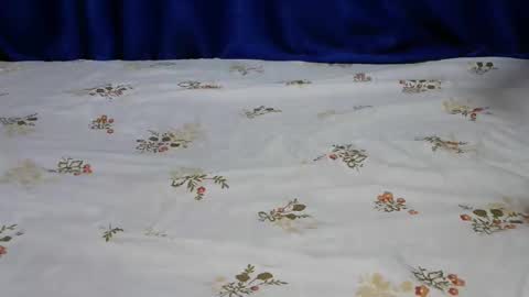 Snapshot of dolly_lioness chatting on 24, 2, 2025 dolly_lioness online show from 24, 2, 2025