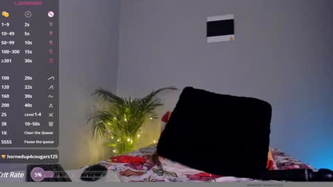 Dolly online show from 6, 12, 2024